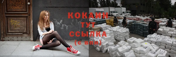 герыч Новодвинск