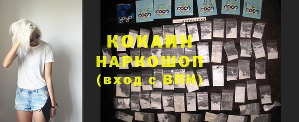 мдпв Новозыбков