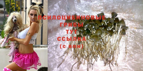 мдпв Новозыбков