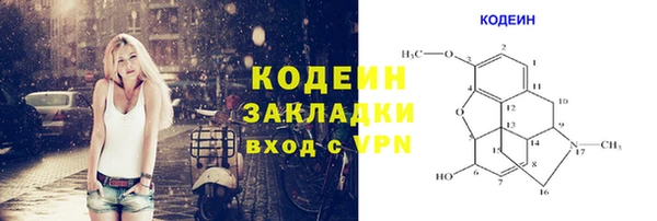 мдпв Новозыбков