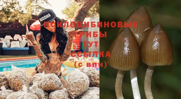 мдпв Новозыбков