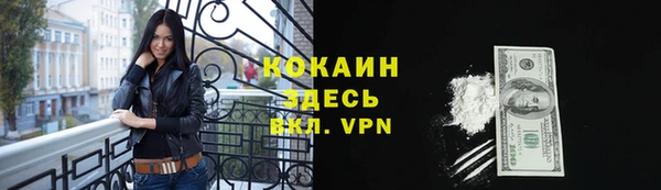 мдпв Новозыбков