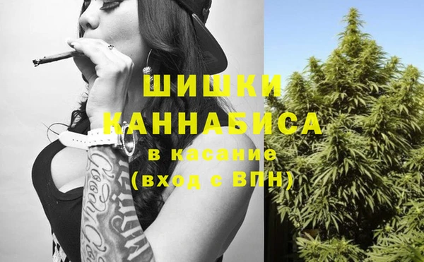 мдпв Новозыбков