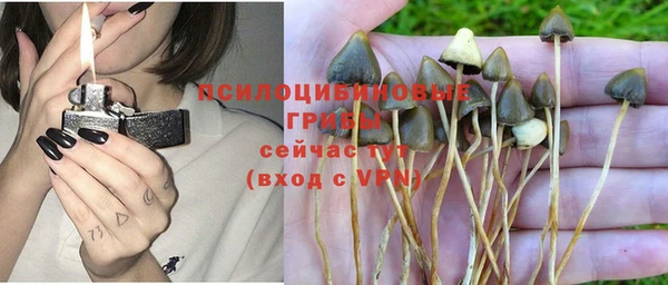 мдпв Новозыбков