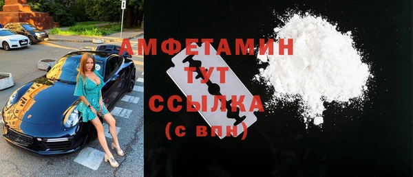 мдпв Новозыбков