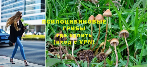 герыч Новодвинск