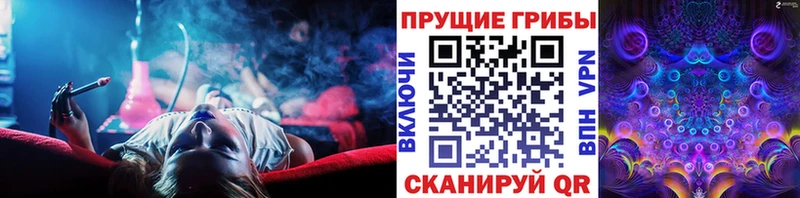 Псилоцибиновые грибы ЛСД купить МЕГА маркетплейс darknet какой сайт Истра