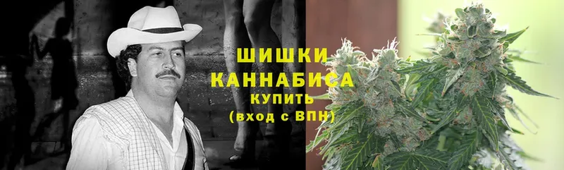 купить закладку  Истра  Конопля White Widow 